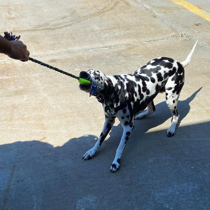 Upcycled Rope Tug with Tennis Ball