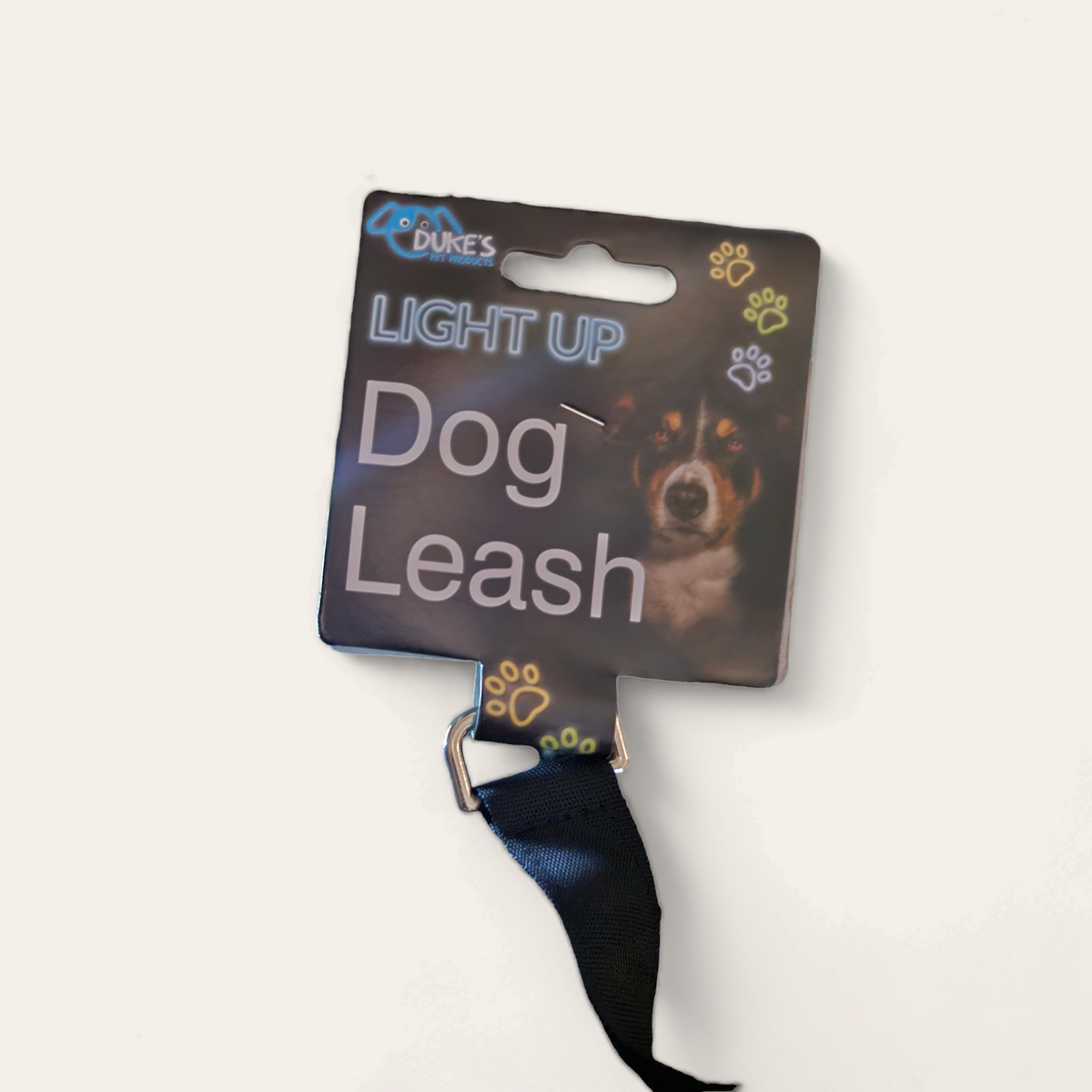 Glow-Walk Light-Up Leash