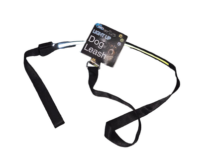 Glow-Walk Light-Up Leash