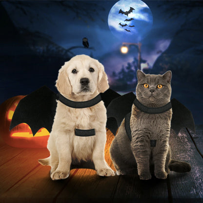Spooky Bat Wings Costume
