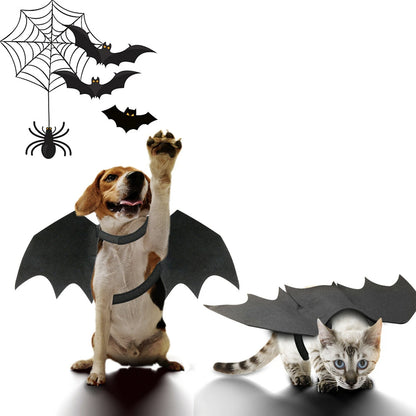 Spooky Bat Wings Costume