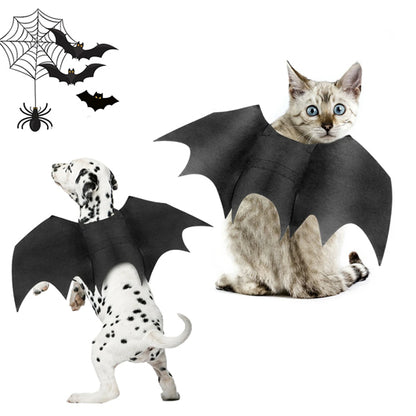 Spooky Bat Wings Costume