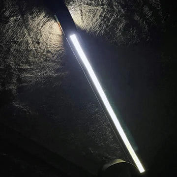 Glow-Walk Light-Up Leash