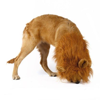 Lion Mane Costume
