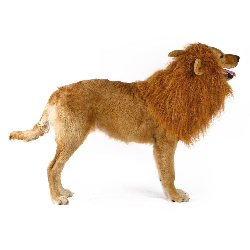 Lion Mane Costume