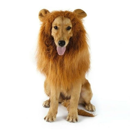 Lion Mane Costume