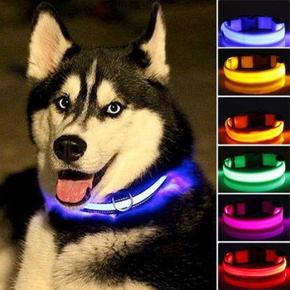Glow Collar 2-Pack