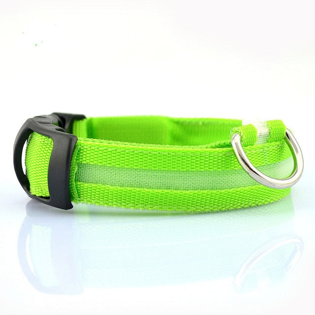 Glow Collar 2-Pack
