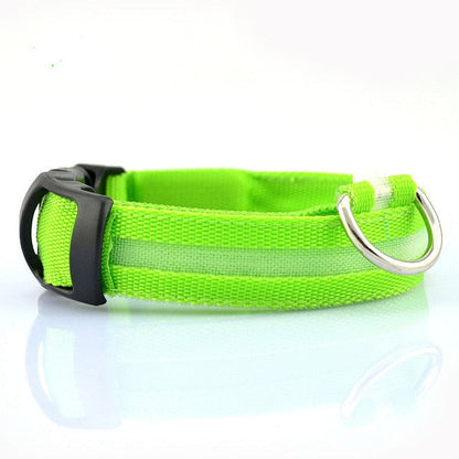 Glow Collar 2-Pack