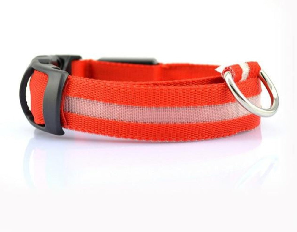 Glow Collar 2-Pack