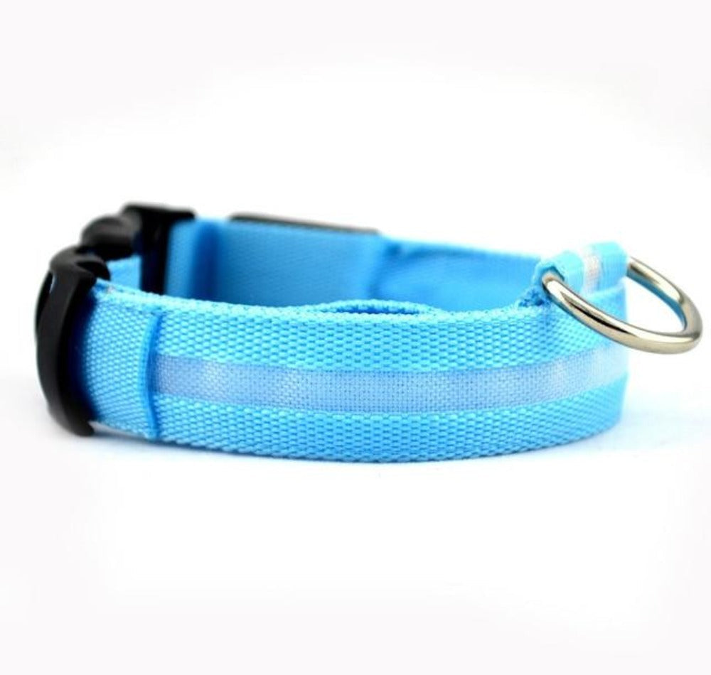 Glow Collar 2-Pack