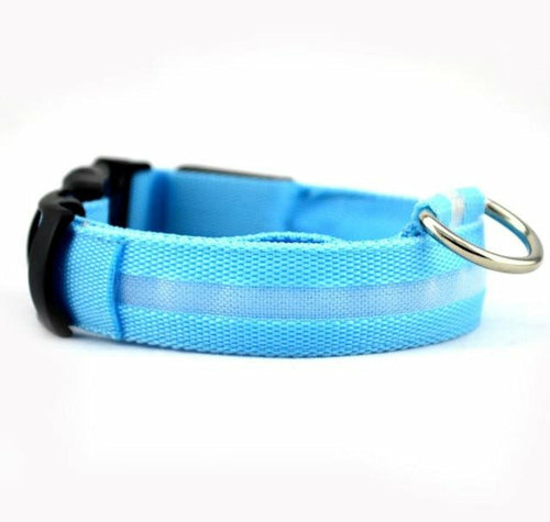 Glow Collar 2-Pack