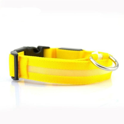 Glow Collar 2-Pack