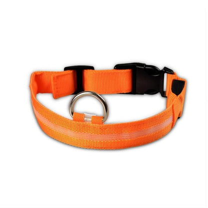 Glow Collar 2-Pack