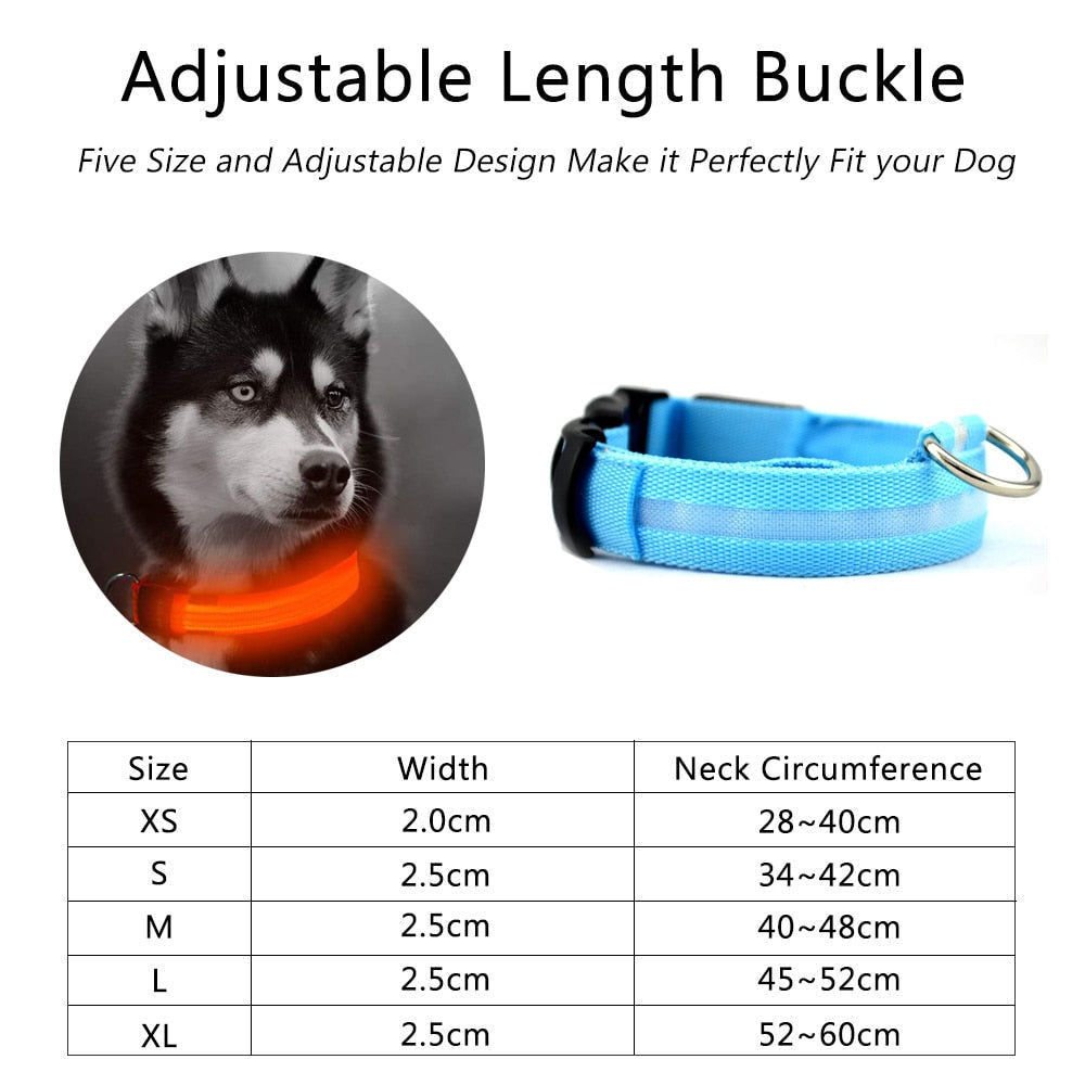 Glow Collar 2-Pack