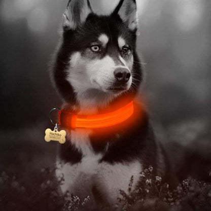 Glow Collar 2-Pack