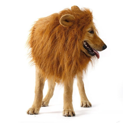 Lion Mane Costume